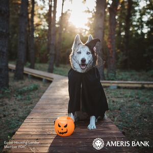 Image post by @amerisbank on Instagram