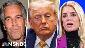 Video post by @msnbc on YouTube