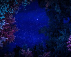 Image post by @elijahblesofsky on Instagram
