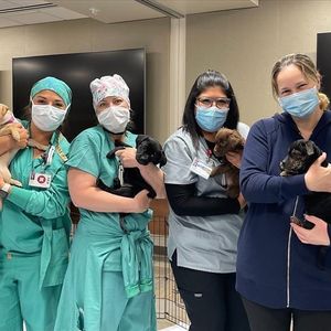 Image post by @uchealth on Instagram
