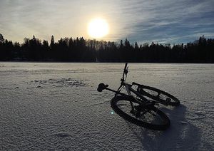 Image post by @nukeproofbikes on Instagram