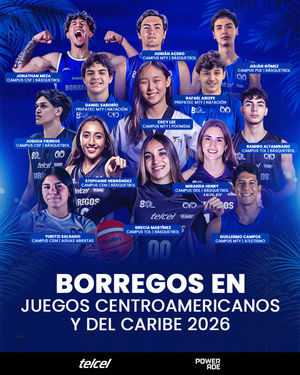 Image post by @borregostec on Instagram