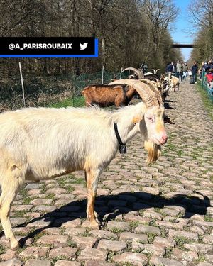 Image post by @eurosport on Instagram