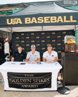 Image post by @usagoldenspikes on Instagram