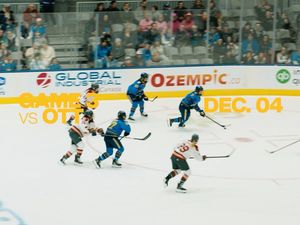 Image post by @visualsbydream on Instagram