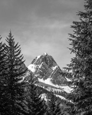 Image post by @jfriedrich on Instagram