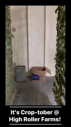 Video post by @highrollerok on Facebook