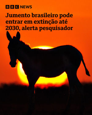 Image post by @bbcbrasil on Instagram