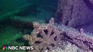 Video post by @nbcnews on YouTube
