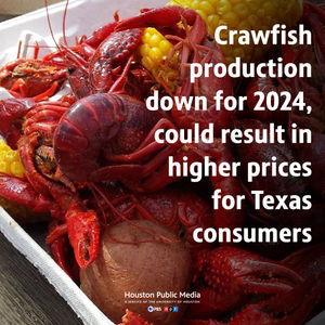 Image post by @houstonpubmedia on Instagram