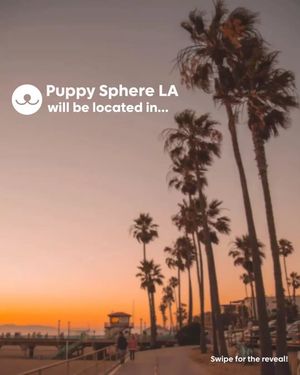 Image post by @thepuppysphere on Instagram