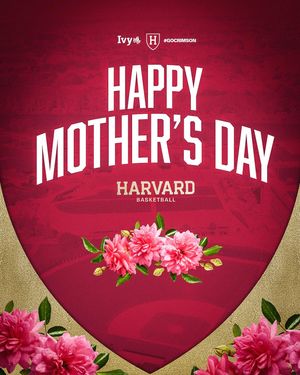 Image post by @harvardmbb on Instagram