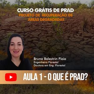 Image post by @operitoambiental on Instagram
