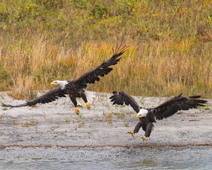 Image post by @chandlerwebercreative on Instagram