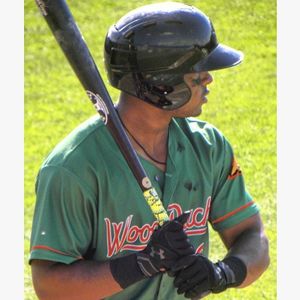 Image post by @gowoodducks on Instagram