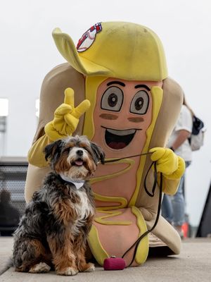 Image post by @clehotdogs on Instagram