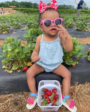 Image post by @southernbellefarm on Instagram