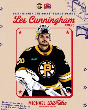 Image post by @theahl on Instagram