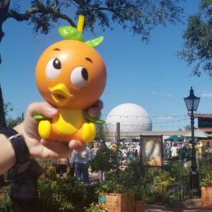 Image post by @thedisneyblog on Instagram