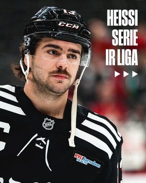 Image post by @nhlschweiz on Instagram