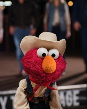 Image post by @elmo on Instagram