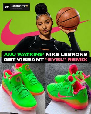 Image post by @soleretriever on Instagram