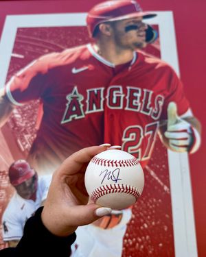 Image post by @Angels on Twitter