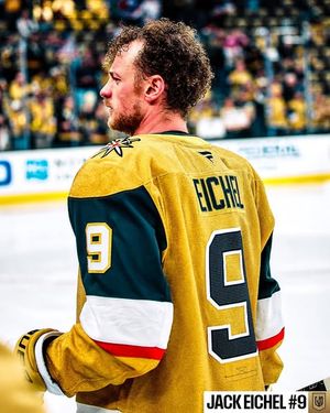 Image post by @nhl on Instagram