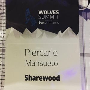 Image post by @piercarlomansu on Instagram