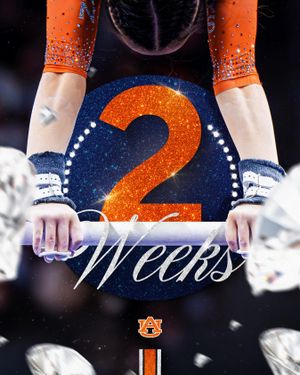Image post by @auburngymnastics on Instagram