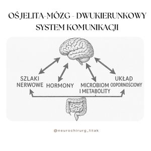 Image post by @neurochirurg_litak on Instagram