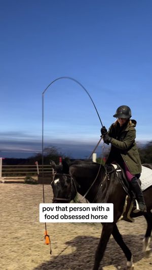Video post by @millicentstennett on TikTok
