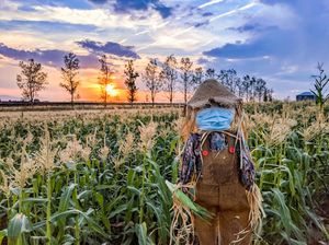 Image post by @raindancecolorado on Instagram