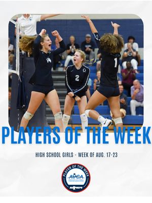 Image post by @avcavolleyball on Instagram
