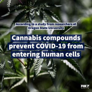 Image post by @fox7austin on Instagram