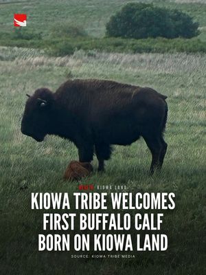 Image post by @indigenous.tv on Instagram