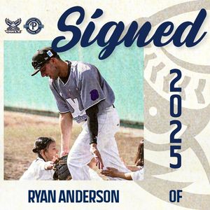 Image post by @nocoowlz on Instagram