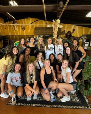 Image post by @ulm_vb on Instagram
