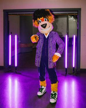 Image post by @NordyWild on Twitter