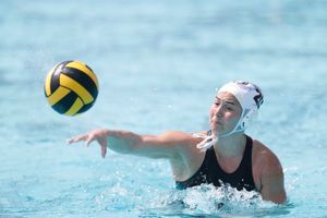Image post by @Pwaterpolo on Twitter