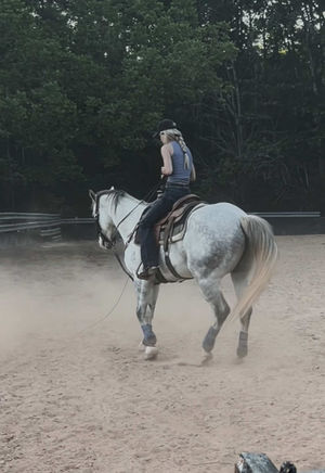 Video post by @aubrey.lx on TikTok