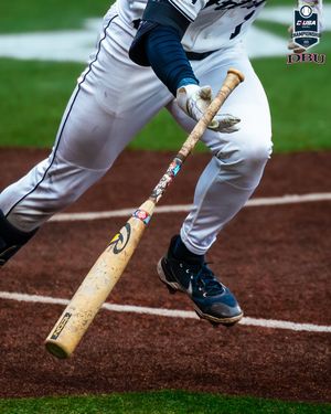 Image post by @dbu_baseball on Instagram