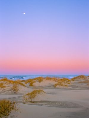 Image post by @alexkittoephotos on Instagram