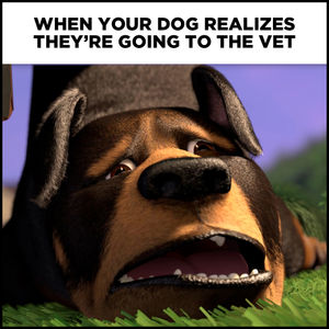 Image post by @dreamworks on Instagram