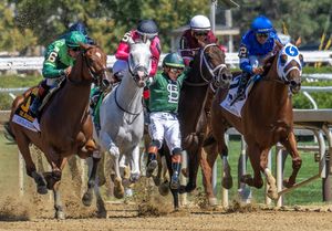Image post by @thebloodhorse on Instagram