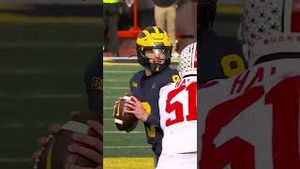 Video post by @cfbonfox on YouTube