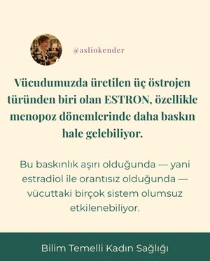 Image post by @asliokender on Instagram