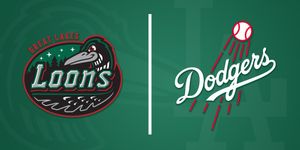 Image post by @greatlakesloons on Twitter/X