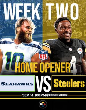 Image post by @steeler.nation.inc on Instagram