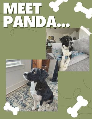 Image post by @thehamiltontownhomes on Facebook